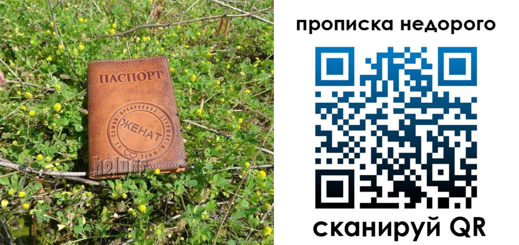 регистрация для дет. сада в Великих Луках